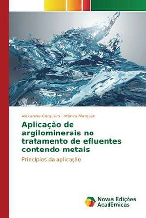 Aplicacao de Argilominerais No Tratamento de Efluentes Contendo Metais: Uma Politica de Estado de Alexandre Cerqueira