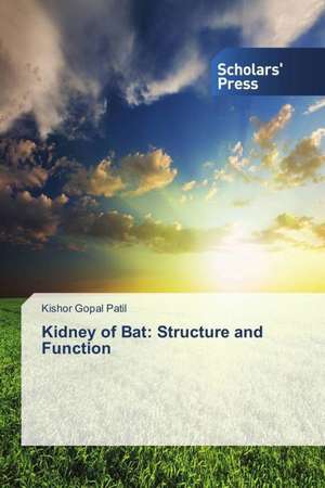 Kidney of Bat: Structure and Function de Kishor Gopal Patil