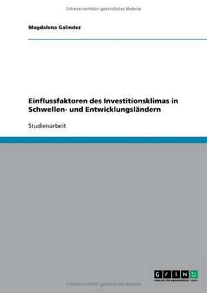 Einflussfaktoren des Investitionsklimas in Schwellen- und Entwicklungsländern de Magdalena Galindez