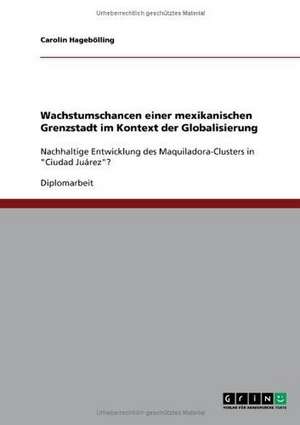 Wachstumschancen einer mexikanischen Grenzstadt im Kontext der Globalisierung de Carolin Hagebölling