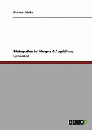 IT-Integration bei Mergers & Acquisitions de Christian Lüdecke