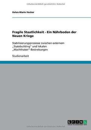 Fragile Staatlichkeit - Ein Nährboden der Neuen Kriege de Helen-Marie Hecker