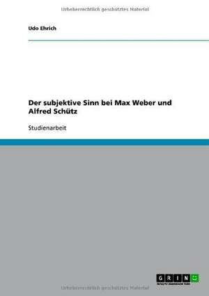 Der subjektive Sinn bei Max Weber und Alfred Schütz de Udo Ehrich