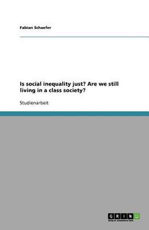 Is social inequality just? Are we still living in a class society? de Fabian Schaefer