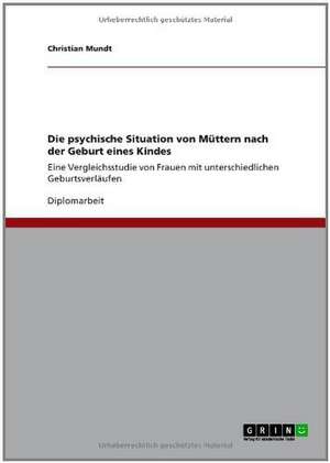 Die psychische Situation von Müttern nach der Geburt eines Kindes de Christian Mundt