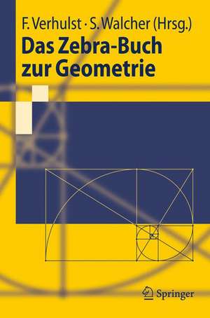 Das Zebra-Buch zur Geometrie de Ferdinand Verhulst