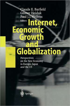 Internet, Economic Growth and Globalization: Perspectives on the New Economy in Europe, Japan and the USA de Claude E. Barfield