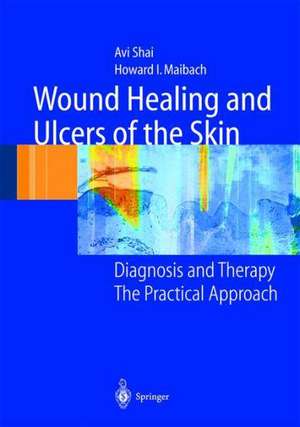 Wound Healing and Ulcers of the Skin: Diagnosis and Therapy - The Practical Approach de Avi Shai