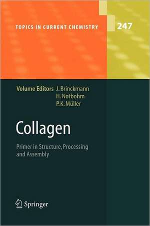 Collagen: Primer in Structure, Processing and Assembly de Jürgen Brinckmann