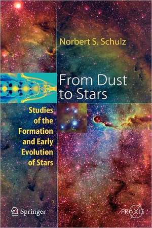 From Dust To Stars: Studies of the Formation and Early Evolution of Stars de Norbert S. Schulz