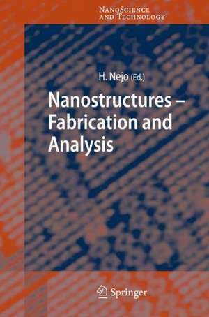 Nanostructures: Fabrication and Analysis de Hitoshi Nejo