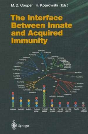 The Interface Between Innate and Acquired Immunity de M.D. Cooper