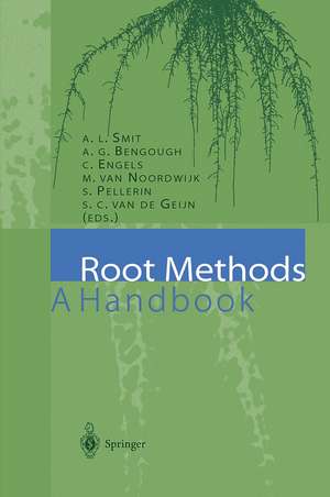 Root Methods: A Handbook de A.L. Smit