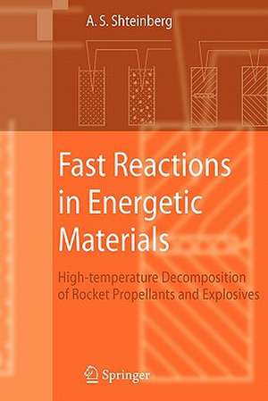 Fast Reactions in Energetic Materials: High-Temperature Decomposition of Rocket Propellants and Explosives de Alexander S. Shteinberg