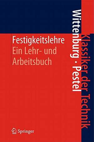 Festigkeitslehre: Ein Lehr- und Arbeitsbuch de Jens Wittenburg