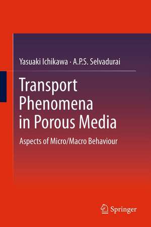 Transport Phenomena in Porous Media: Aspects of Micro/Macro Behaviour de Yasuaki Ichikawa