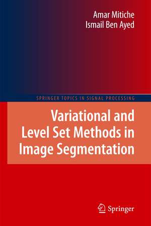 Variational and Level Set Methods in Image Segmentation de Amar Mitiche