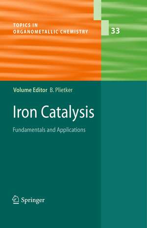 Iron Catalysis: Fundamentals and Applications de Bernd Plietker