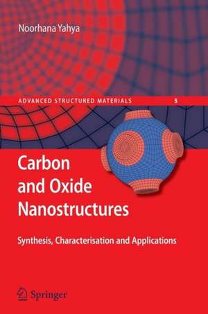 Carbon and Oxide Nanostructures: Synthesis, Characterisation and Applications de Noorhana Yahya