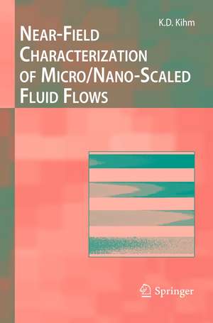 Near-Field Characterization of Micro/Nano-Scaled Fluid Flows de Kenneth D Kihm