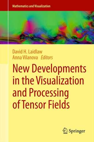 New Developments in the Visualization and Processing of Tensor Fields de David H. Laidlaw