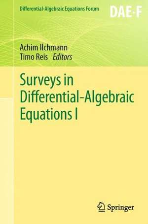 Surveys in Differential-Algebraic Equations I de Achim Ilchmann