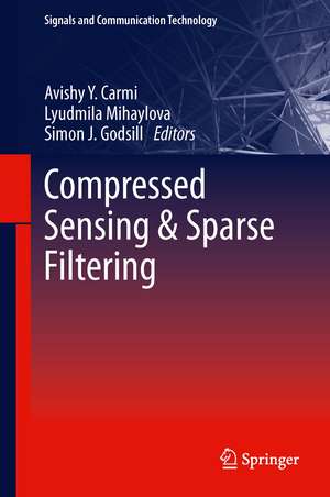 Compressed Sensing & Sparse Filtering de Avishy Y. Carmi