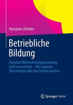 Betriebliche Bildung: Zwischen Wahrnehmungsverzerrung und Lernresistenz - Was optische Täuschungen über das Lernen verraten de Hanspeter Zehnder