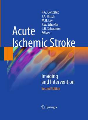 Acute Ischemic Stroke: Imaging and Intervention de R. Gilberto González