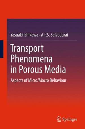 Transport Phenomena in Porous Media: Aspects of Micro/Macro Behaviour de Yasuaki Ichikawa