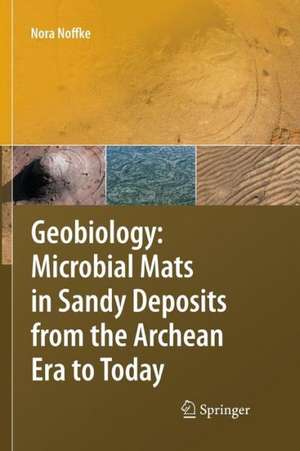 Geobiology: Microbial Mats in Sandy Deposits from the Archean Era to Today de Nora Noffke