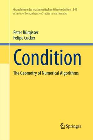 Condition: The Geometry of Numerical Algorithms de Peter Bürgisser