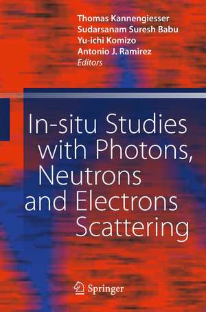 In-situ Studies with Photons, Neutrons and Electrons Scattering de Thomas Kannengiesser