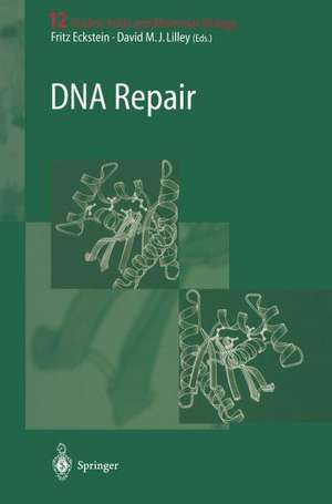 DNA Repair de Fritz Eckstein