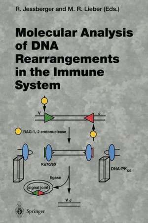 Molecular Analysis of DNA Rearrangements in the Immune System de Rolf Jessberger