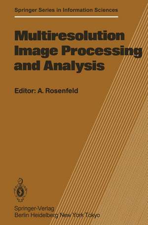 Multiresolution Image Processing and Analysis de A. Rosenfeld