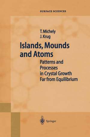 Islands, Mounds and Atoms de Thomas Michely