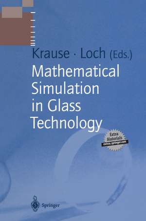 Mathematical Simulation in Glass Technology de Dieter Krause