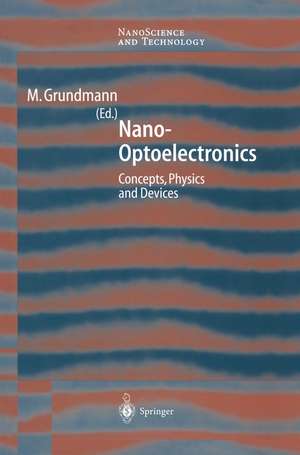 Nano-Optoelectronics: Concepts, Physics and Devices de Marius Grundmann