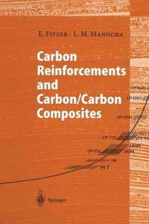 Carbon Reinforcements and Carbon/Carbon Composites de E. Fitzer