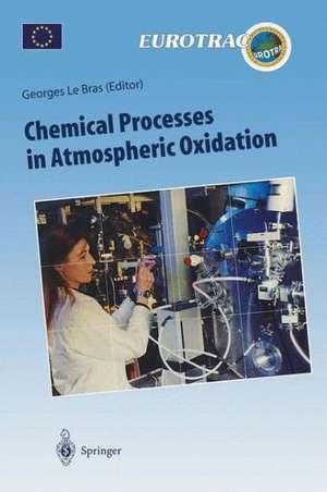 Chemical Processes in Atmospheric Oxidation: Laboratory Studies of Chemistry Related to Tropospheric Ozone de Georges Le Bras