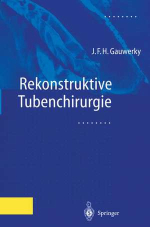 Rekonstruktive Tubenchirurgie de Johannes F.H. Gauwerky