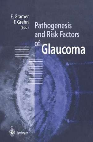 Pathogenesis and Risk Factors of Glaucoma de E. Gramer