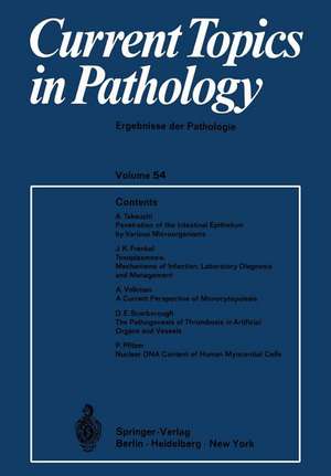 Current Topics in Pathology / Ergebnisse der Pathologie de H. -W. Altmann