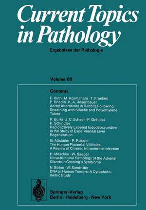 Current Topics in Pathology / Ergebnisse der Pathologie: Ergebnisse der Pathologie de E. Grundmann