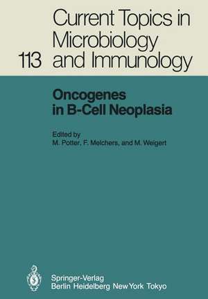 Oncogenes in B-Cell Neoplasia: Workshop at the National Cancer Institute, National Institutes of Health, Bethesda, MD, USA, March 5–7, 1984 de M. Potter