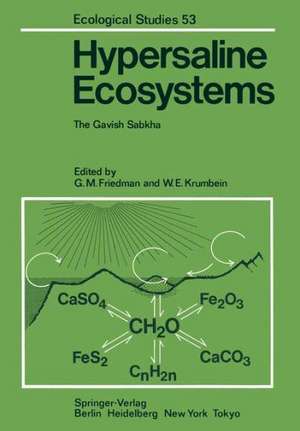 Hypersaline Ecosystems: The Gavish Sabkha de M.R. Buyce