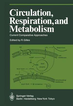 Circulation, Respiration, and Metabolism: Current Comparative Approaches de Raymond Gilles