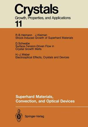 Superhard Materials, Convection, and Optical Devices de R. B. Heimann