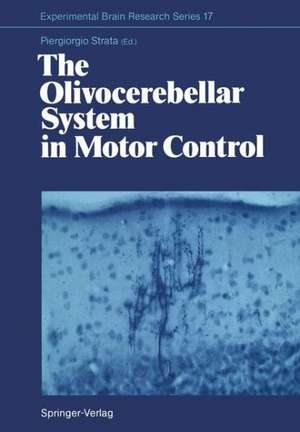 The Olivocerebellar System in Motor Control de Piergiorgio Strata